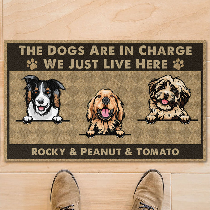 The Dogs Are In Charge Personalized Custom Photo Dog Cat Doormat C742