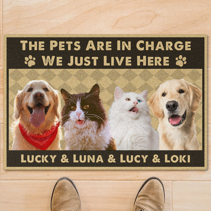 The Dogs Are In Charge Personalized Custom Photo Dog Cat Doormat C742