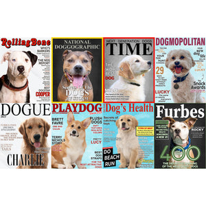 Custom Your Dog Tee, Magazine Dog Covers Shirt, Personalized Dog Photo Shirt C799