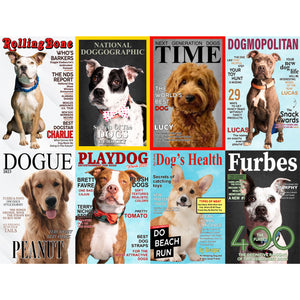 Custom Your Dog Poster, Magazine Dog Covers Poster, Personalized Dog Photo Prints C799