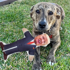 Hilarious Trump-Themed Squeaky Dog Toy - Durable Polyester Chew Toy for All Breeds