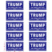 10 Pack Trump 2024 Car Stickers,8 Inches X 4 Inches Big Trump Letters Car Decal, Make America Great Again 2024 Bumper Stickers