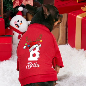 Personalized Christmas Pet Name Dog Hoodies, Custom Name Dog Clothes, Clothes for Small Medium Large Dogs T1672