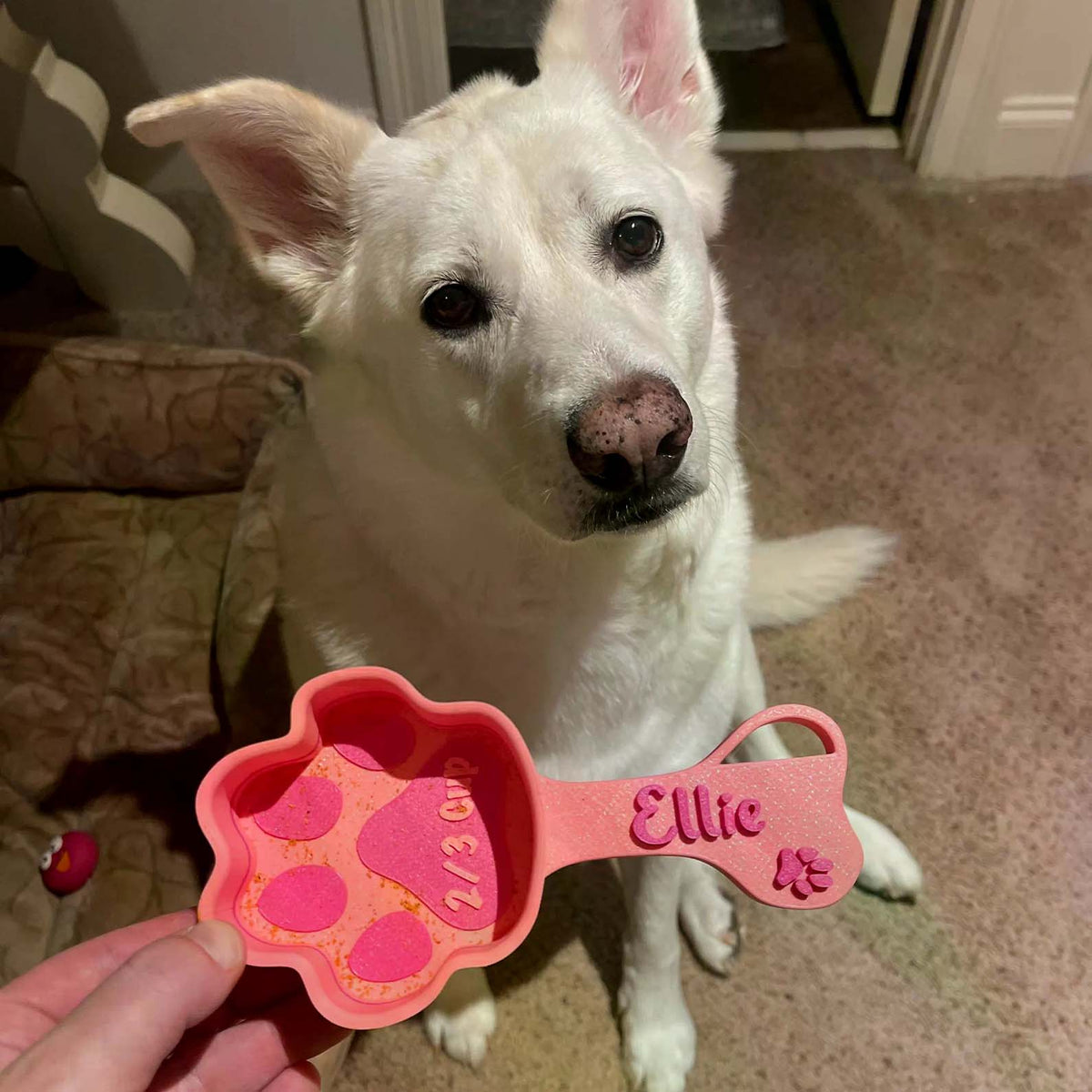 Personalized Pet Food Scoop, Custom Name Food Scoop, Dog Food Cup, Measuring Cup For Pet, Dog Mom, Dog Dad BX25