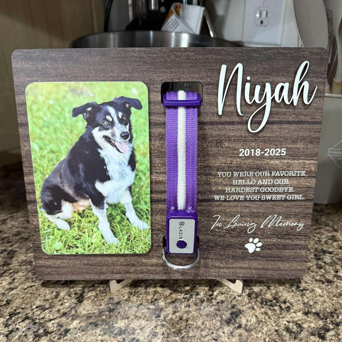 Personalized Memorial Pet Collar Sign, Custom Photo Wood Frame With Collar Holder, Dog Memorial Gifts, Pet Loss Gifts BX25