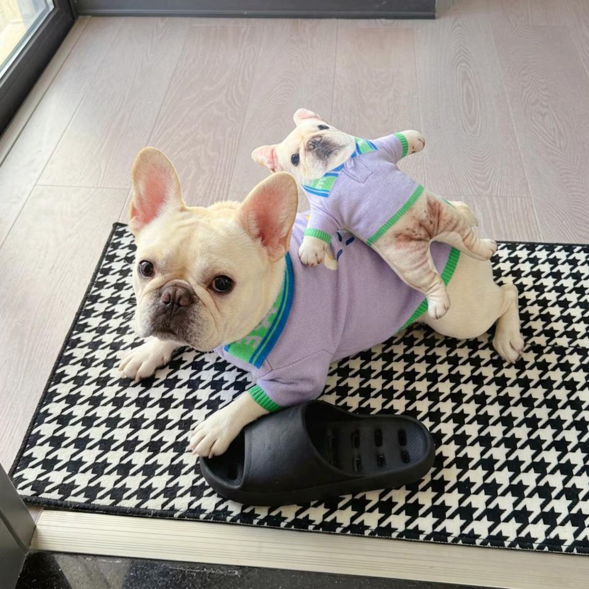 Personalized Dog Photo Poseable Plush Doll, Custom Dog Cat Squishy Toy, Funny Pet Lover Gift 686558 WFD