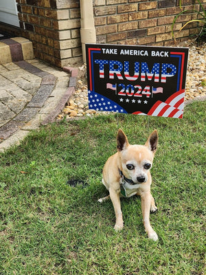 Trump 2024 Yard Sign with Metal H Stakes Double Sided 12" X 18" Trump Take America Back Black Signs Voted for Trump Outdoor Decorations for Indoor Outdoor Lawn, Garden, Window, Party Supplies