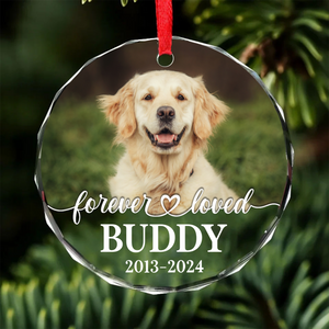 Personalized Pet Memorial Photo Glass Ornament | Custom Dog Cat Photo Christmas Ornament Gift 683440