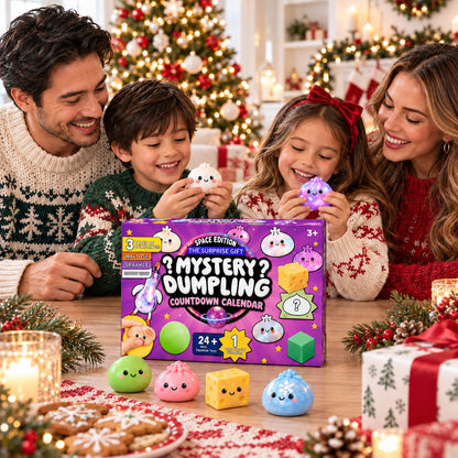 Mystery Dumpling Squishy Advent Calendar, 24 Day Christmas Countdown, Cute Squishy Toys Kids Gift 686523 WFD