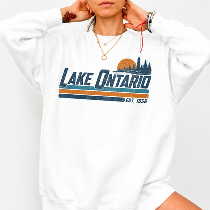 Lake Ontario Est 1656 Bright Shirt, Quiet Activism Tee, Anti Trump Shirt, Canada Political Protest Tee 686115 WFD