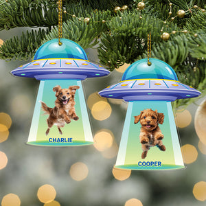 Personalized Dog Photo UFO Acrylic Ornament | Custom Dog Cat Christmas Ornament 683504