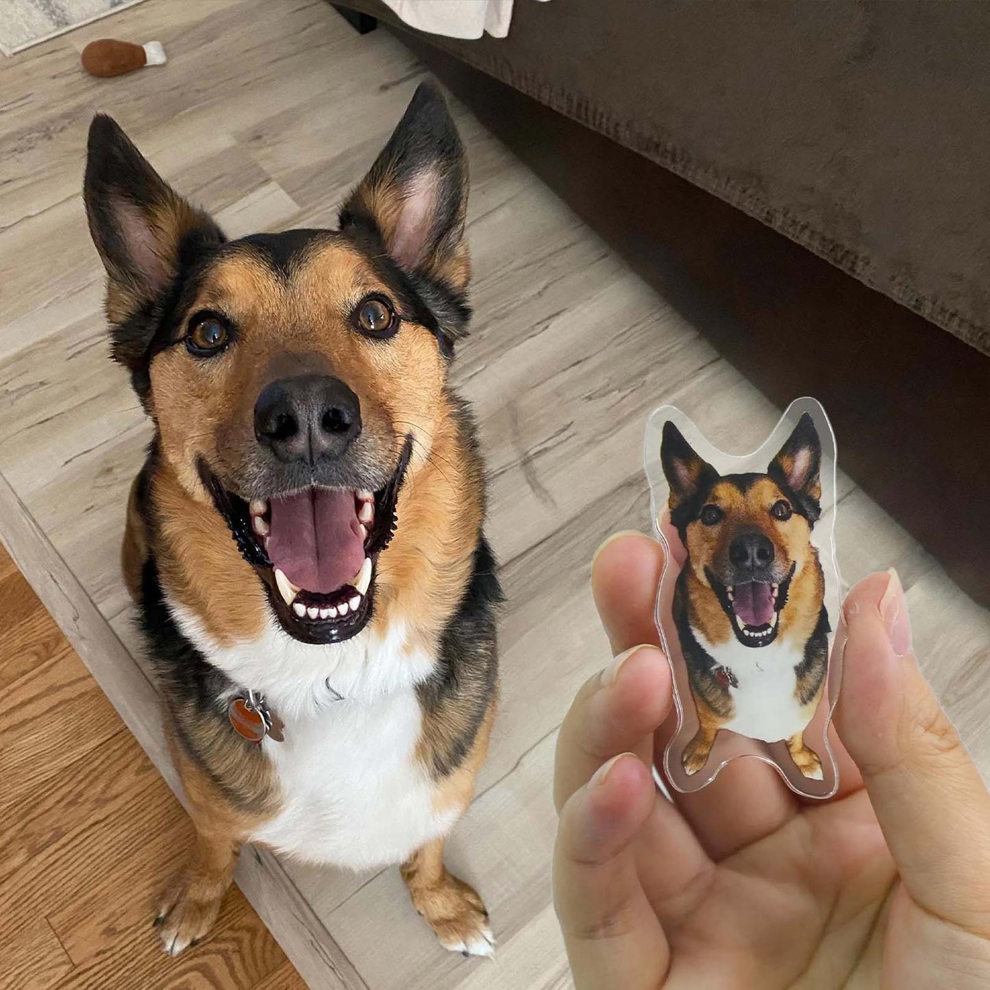 Custom Photo Magnet, Personalized Pet Photo Magnet, Pet Fridge Magnet, Gift for Pet Lovers BX25