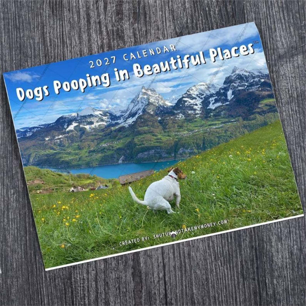 2027 Dogs Pooping in Beautiful Places Calendar, Funny Dog Wall Calendar, Gag Gift for Pet Lovers 686701 WFD