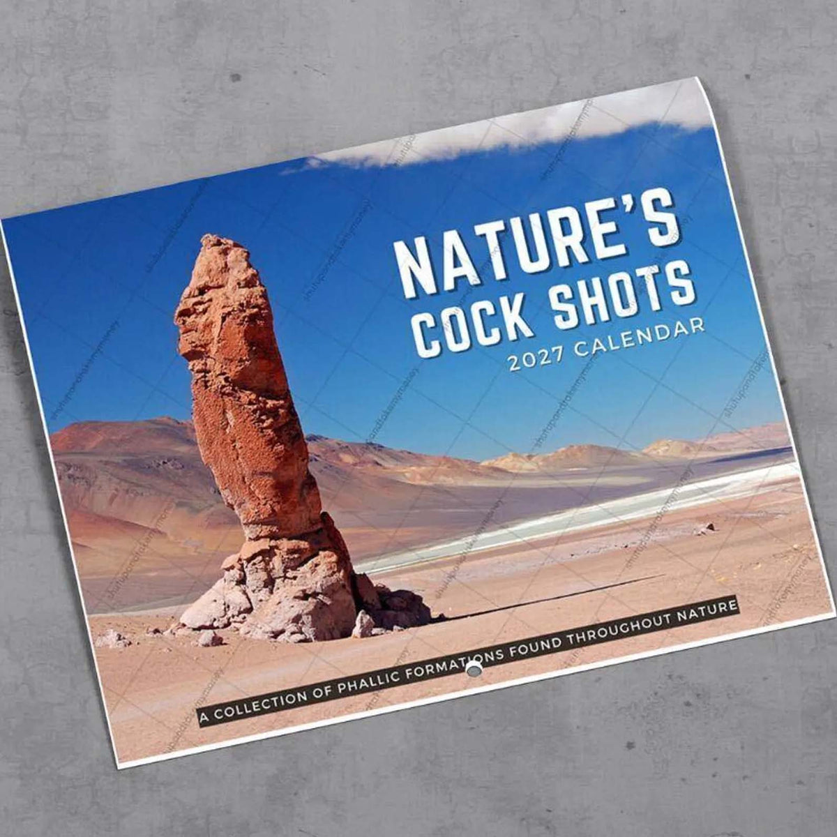 Funny 2027 Wall Calendar - Nature's Cock Shots Adult Prank Gift, Hilarious White Elephant & Secret Santa Gift Idea for Friends, Coworkers & Men 686698 WFD