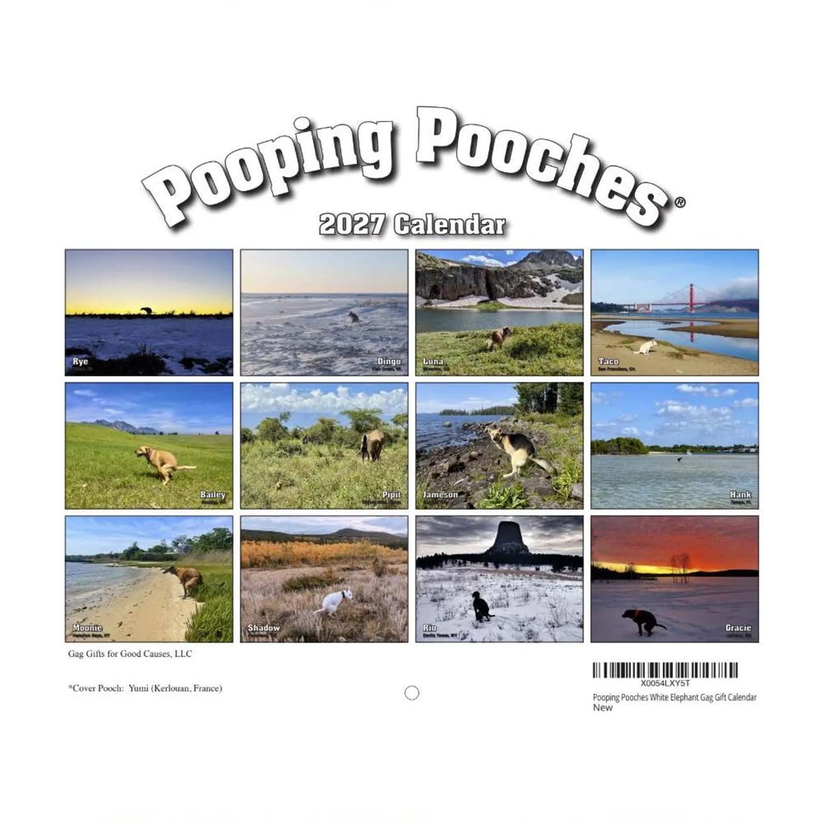 2027 Pooping Pooches Calendar, Hilarious Dog Gag Gift, Funny White Elephant & Secret Santa Gift for Dog Owners and Lovers 686702 WFD