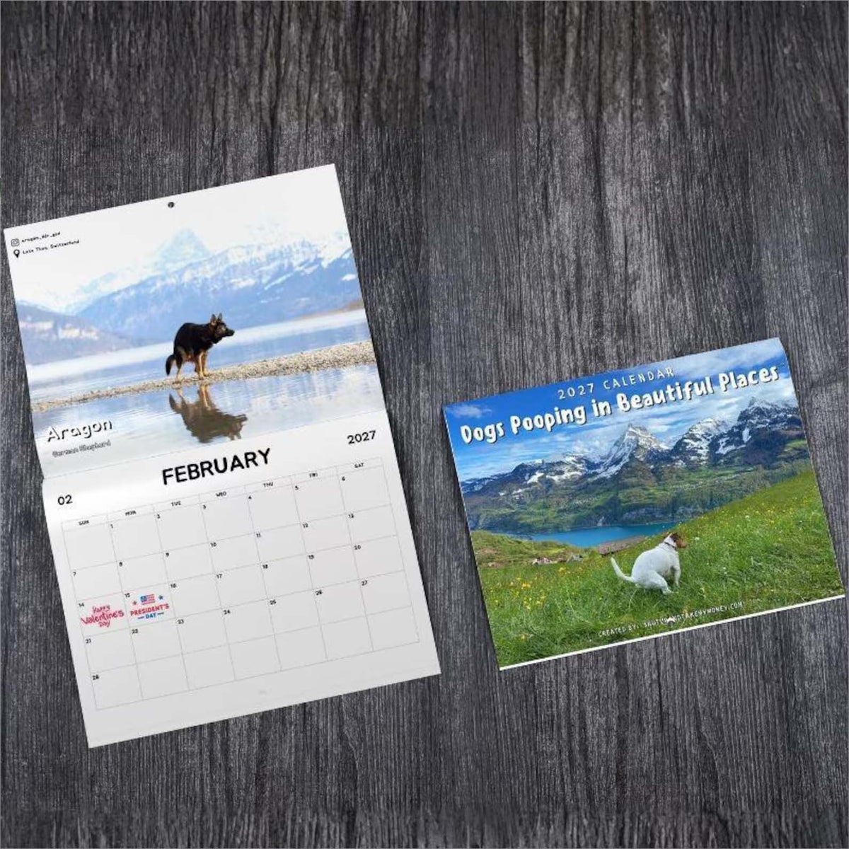 2027 Dogs Pooping in Beautiful Places Calendar, Funny Dog Wall Calendar, Gag Gift for Pet Lovers 686701 WFD