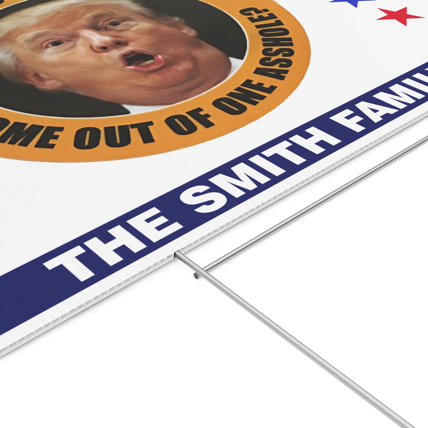 How Can So Much Sh*t Come Out Of One Asshole Yard Sign – Custom 8647 Anti Trump Political Protest Sign, Personalized FDT Lawn Display For Democrats 682215