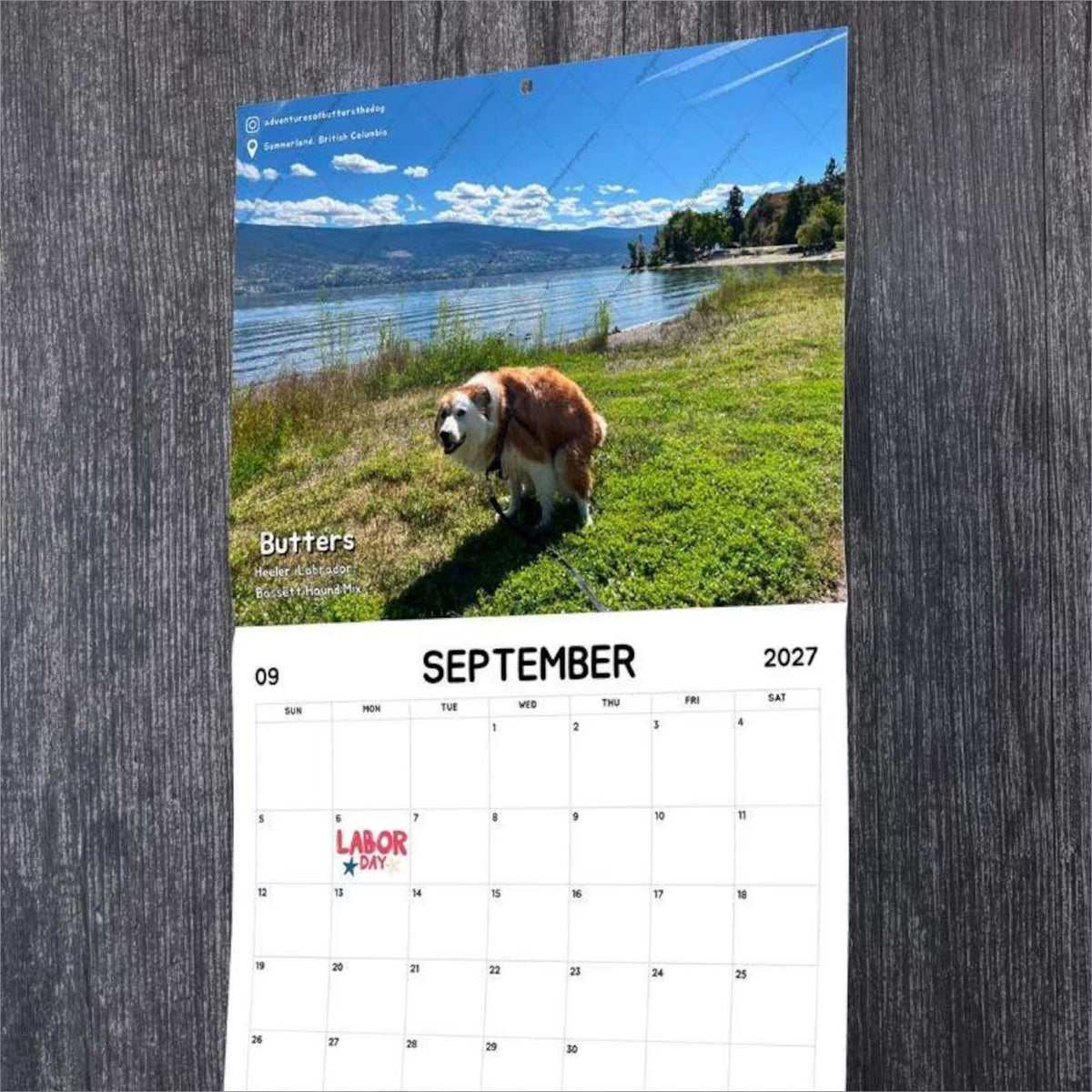 2027 Dogs Pooping in Beautiful Places Calendar, Funny Dog Wall Calendar, Gag Gift for Pet Lovers 686701 WFD