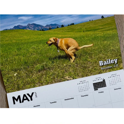 2027 Pooping Pooches Calendar, Hilarious Dog Gag Gift, Funny White Elephant & Secret Santa Gift for Dog Owners and Lovers 686702 WFD