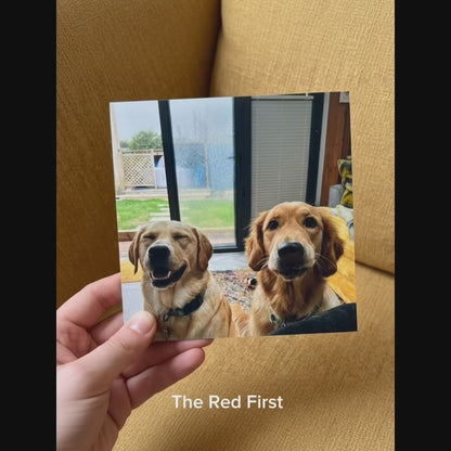 Custom Photo Dog Building Brick Blocks | Personalized Building Block Keepsake for Dog Lovers 684286