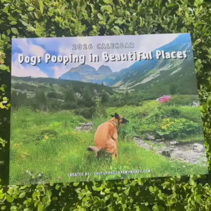 2027 Dogs Pooping in Beautiful Places Calendar, Funny Dog Wall Calendar, Gag Gift for Pet Lovers 686701 WFD