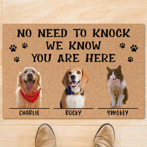 No Need To Knock We Know You Are Here Personalized Custom Photo Dog Cat Doormat C685