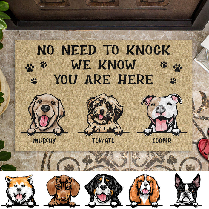 No Need To Knock We Know You Are Here Personalized Custom Photo Dog Cat Doormat C685