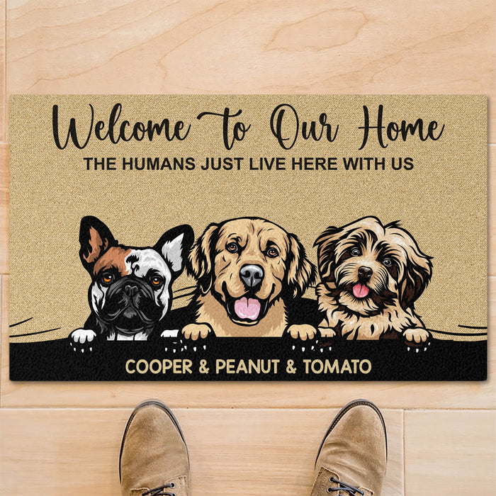 Welcome To The Pet Home Personalized Custom Photo Dog Cat Doormat C656