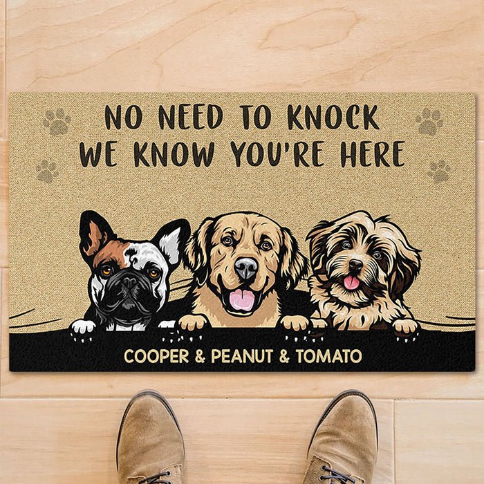 No Need To Knock We Know You Are Here Personalized Custom Photo Dog Cat Doormat C685V2