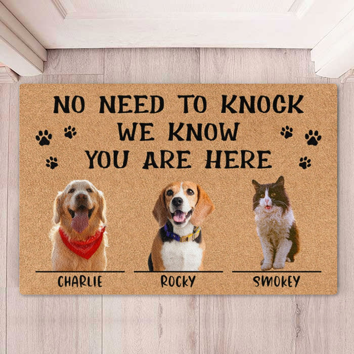 No Need To Knock We Know You Are Here Personalized Custom Photo Dog Cat Doormat C685