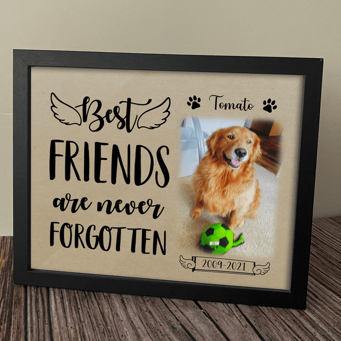 Best Friends Are Never Forgotten - Pet Memorial Custom Picture Frame –  Sunny Box