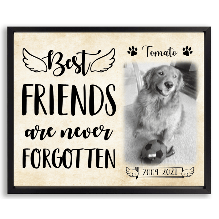 https://theredfirst.com/cdn/shop/products/geckocustom-personalized-custom-picture-frame-dog-lover-gift-best-friends-are-never-forgotten-29278147444913_700x700.png?v=1675948215